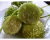 Semente de Maxixe - 10 gr - Isla Super - 1.400 sementes (11929) - loja online