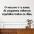 Frase Decorativa em MDF - O Sucesso é a Soma de Pequenos Esforços Repetidos Todos os Dias