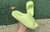 Chinelo Slide