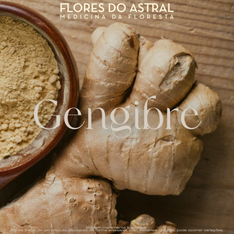 Rapé Gengibre - comprar online