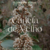 Snuff Canela de Velho - buy online