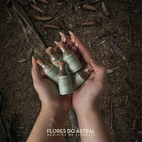 Kit de Rapé Sagrado: Tradição e Cura em Suas Mãos (10g cada) - comprar online