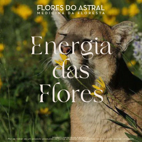 Rapé Energia das Flores