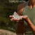 Rapé Nair - comprar online