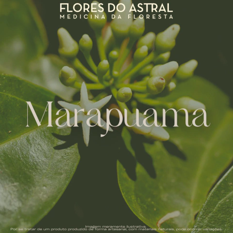 Rapé Marapuama - comprar online