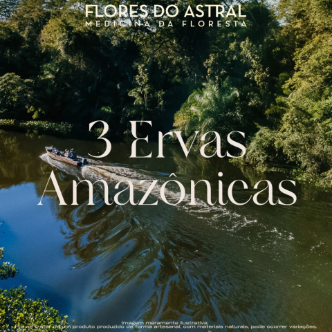 Rapé 3 Ervas Amazônicas - comprar online