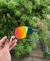 Wire Carbon - Lente Arco Iris - Kit Preto - comprar online