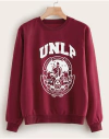 UNLP (BUZOS DE COLORES)