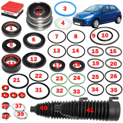 Reparo caixa direcao hidraulica Peugeot 206 1999/2010 na internet