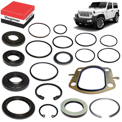 Reparo caixa direcao hidraulica Wrangler 1997/2001 - comprar online