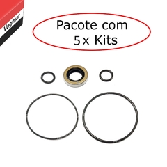 Reparo Bomba Direcao Hidraulica Blazer S10 1995/2011 2.2 2.4