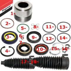 Reparo caixa direcao hidraulica Focus 2.0 2009/2013 - comprar online