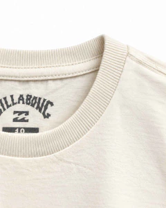 CAMISETA BILLABONG M/C ROTATION TN AREIA B471T1224.AR001 na internet