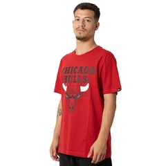 Camiseta Nike Chicago Bulls FJ0231657 na internet