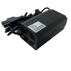 Carregador Para Triciclo elétrico plus Sousa 48v