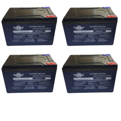 NOVA Bateria Original para Bicicleta Elétrica Sousa 12V 16ah 4un