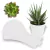 Tag Cachepot N° 11 Kraft Personalizada 11 x 7,5 cm 50 Peças - comprar online