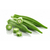 QUIABO - 10 sementes - comprar online