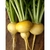 NABO GOTA AMARELA - 100 sementes - comprar online