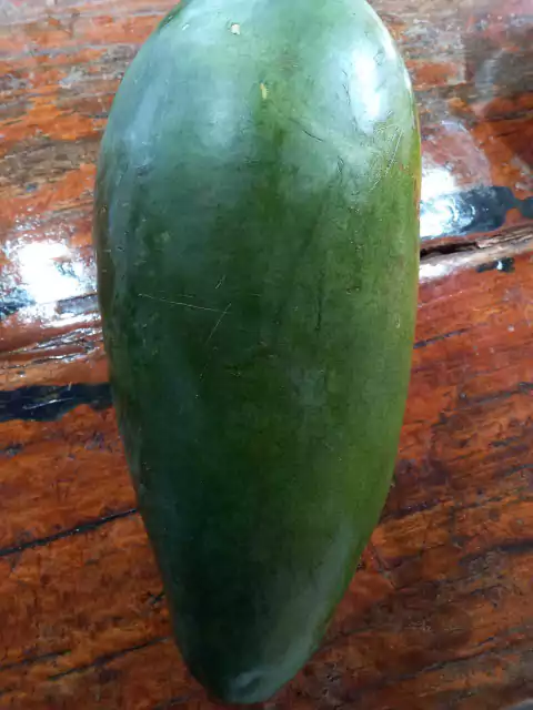 MELANCIA DE CASCA VERDE ESCURA E POLPA VERMELHA - 50 SEMENTES