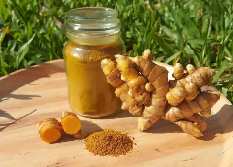 RIZOMA DE AÇAFRÃO DA TERRA 300g