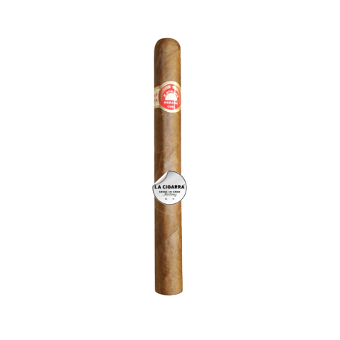 H UPMANN SIR WINSTON X 1