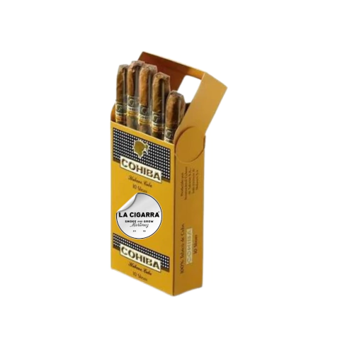 COHIBA SHORT 10