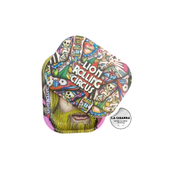 BANDEJA LION MINI + TAPA IMANTADA