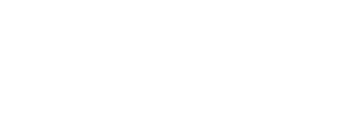 Lions Sneakers - Loja de Tênis 