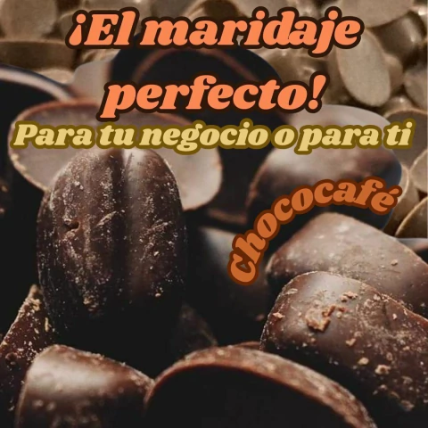 Chococafé gourmet semi amargo - comprar en línea