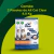 COMBO 2 All Cat Clear Premium | 8 kg