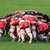 Tapones Intercambiables Rugby - comprar online