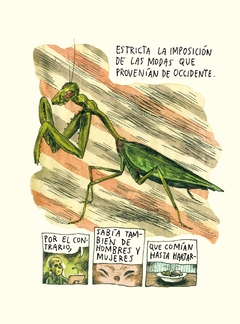 BOLA NEGRA / Liniers y Bellatin - comprar online