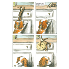 BUENAS NOCHES, PLANETA / Liniers en internet