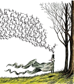MACANUDO 8 / Liniers