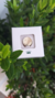 Pin Esteto Smile Dourado - Dra Cherie