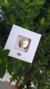 Pin Esteto Eletro Dourado - Dra Cherie