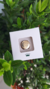 Pin Esteto Cherie Dourado - Dra Cherie