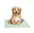 Pañopet Alfombra Sanitaria Mini x10 un. (44*55) - comprar online