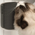 Self Groomer Catit 2.0 - Cepillo Masajeador Rascador Esquinero con catnip - comprar online