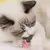 Juguete Gato Catnip Ball Surtido (Queso) - Veterinaria Heramid