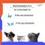 Arena Aglomerante Para Gato Tradicional PACK X3 UNIDADES - tienda online