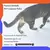 Imagen de Arena Aglomerante Para Gato Tradicional PACK X3 UNIDADES