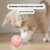 Imagen de Pelota Inteligente Para Gatos - Chica Beepaw (celeste)