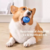 Imagen de Pelota Inteligente Para Perros