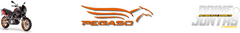 Banner da categoria Pegaso 650