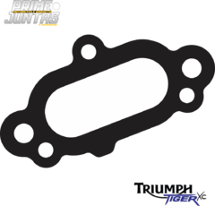 Junta Tubo D'água Triumph Tiger 800 (2011 - 2019) T2100205
