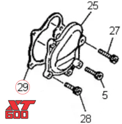 Juntas Estator E Motor de Arranque Yamaha Xt600 (1986 - 2004) na internet