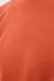 REMERA ISU en internet