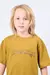 REMERA HAROLD JR en internet